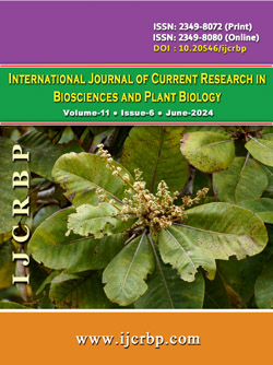 Vol-11-Issue-6